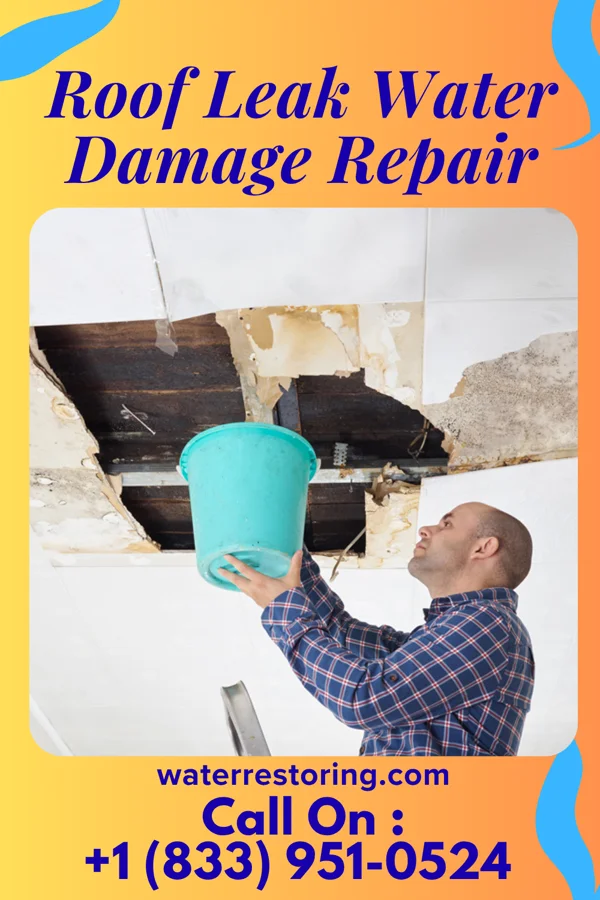 Roof Leak Water Damage Repair in Van Alstyne, TX