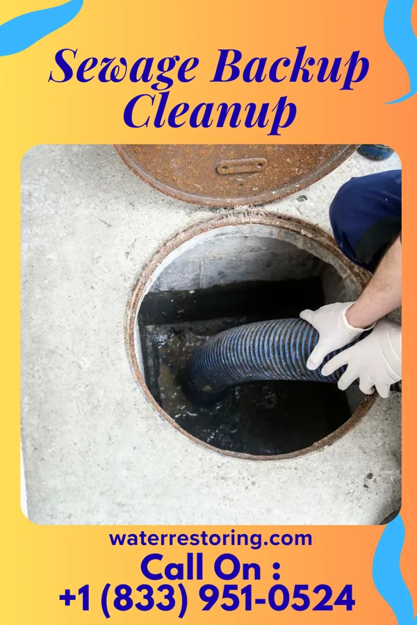 Sewage Backup Cleanup in Van Alstyne, TX